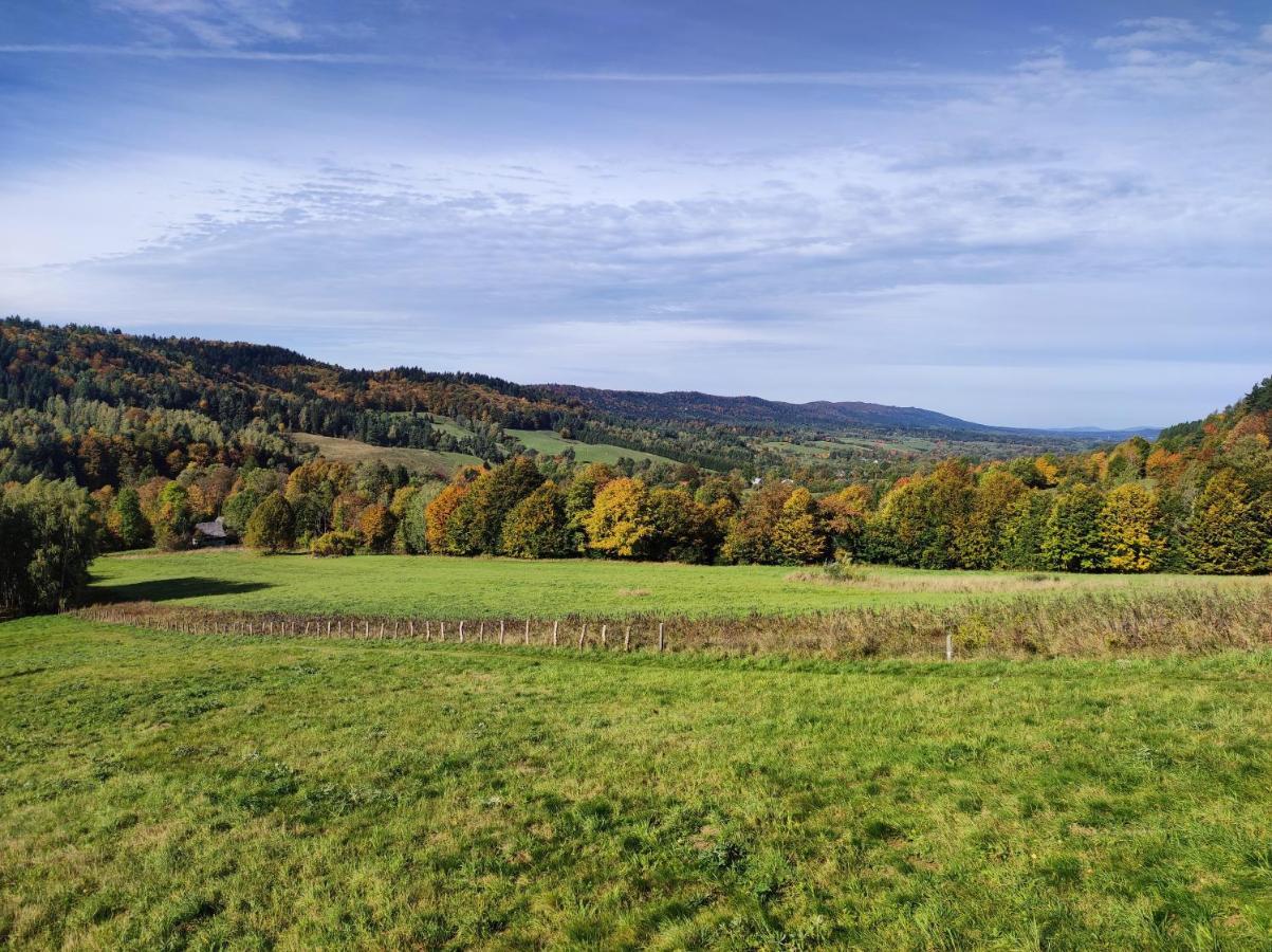 Rezydencja Bukowy Dwor Czarna  Buitenkant foto